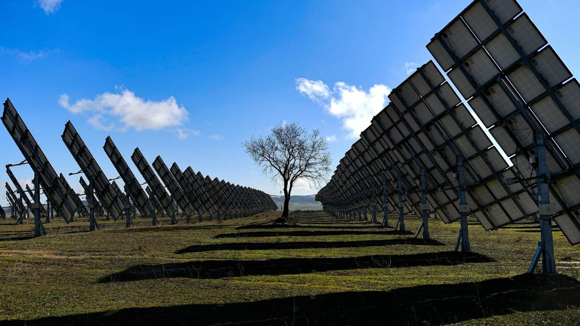Summer solstice: Solar a ‘serious’ electricity player as power share soars to 20%