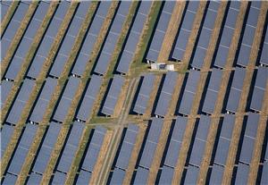 Japan megabank to use solar panels on sheep farm to shave emissions