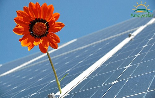 Renewables supply 71% of Portugal’s electricity in 2024, led by solar