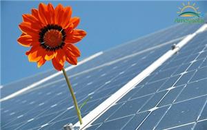 Renewables supply 71% of Portugal’s electricity in 2024, led by solar