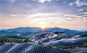 Renewables now making more power than coal