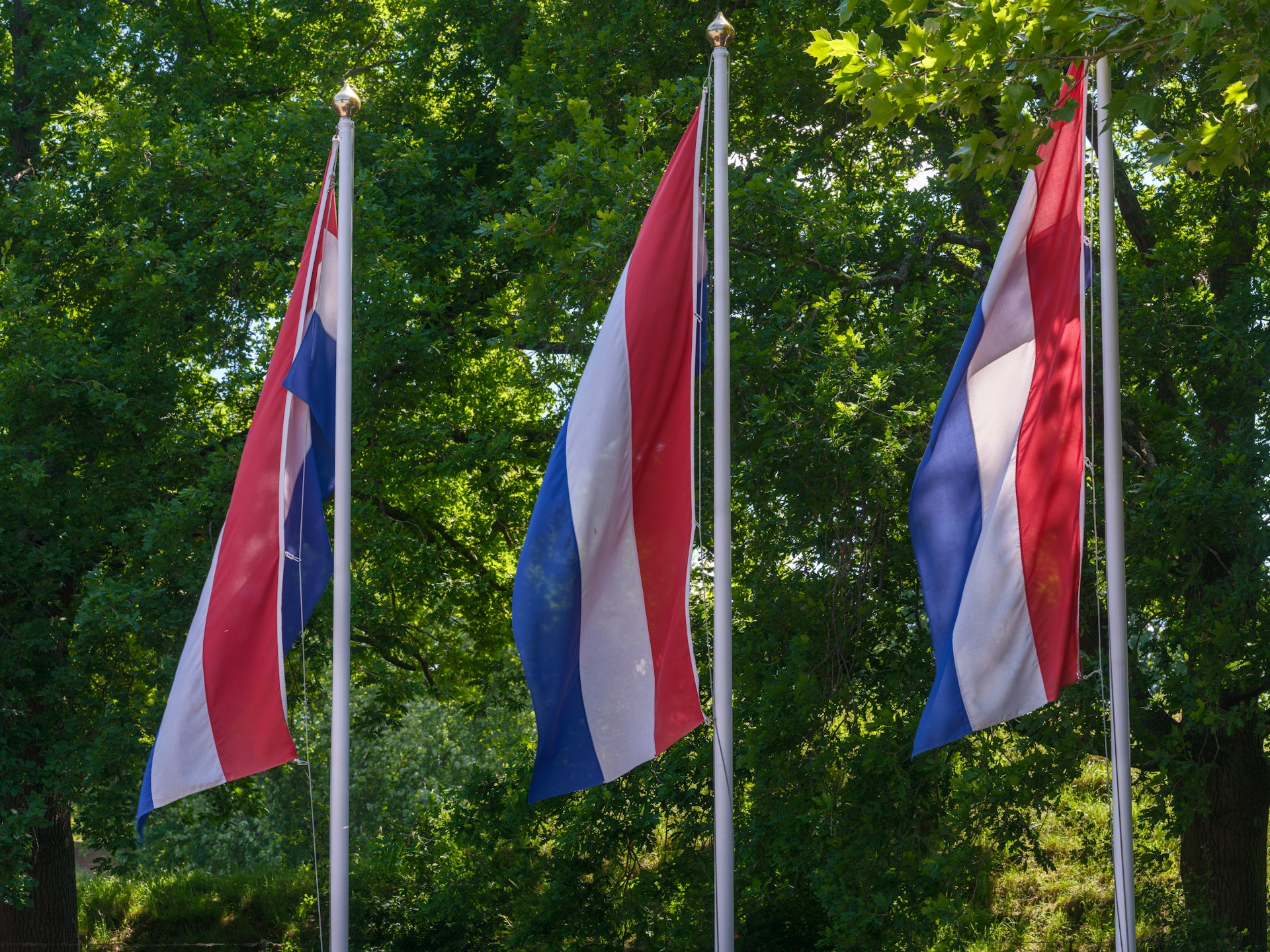 太陽光発電(たいようこうはつでん) 太陽光発電(たいようこうはつでん)