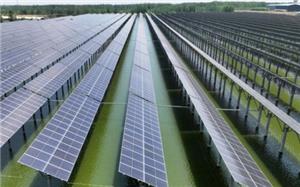 イタリア、EUの資金支援を受けた農業用電気事業の入札で2GWを受注