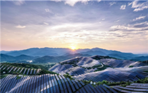 Renewables now making more power than coal