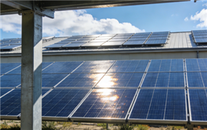 カナダは2025年にわずか57MWの大規模太陽光発電を導入する見込み