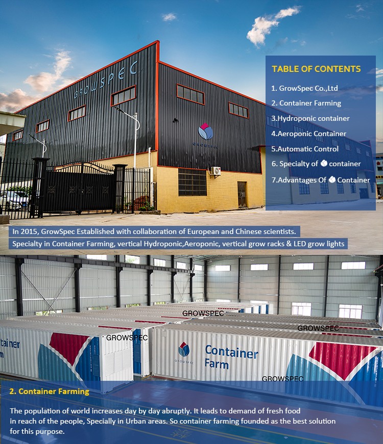 Supply Aeroponic Smart farm standard 40’ft shipping container farm for