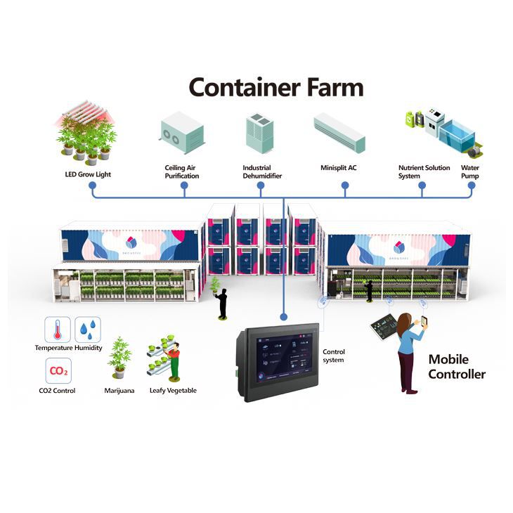 hydroponic shipping container farm