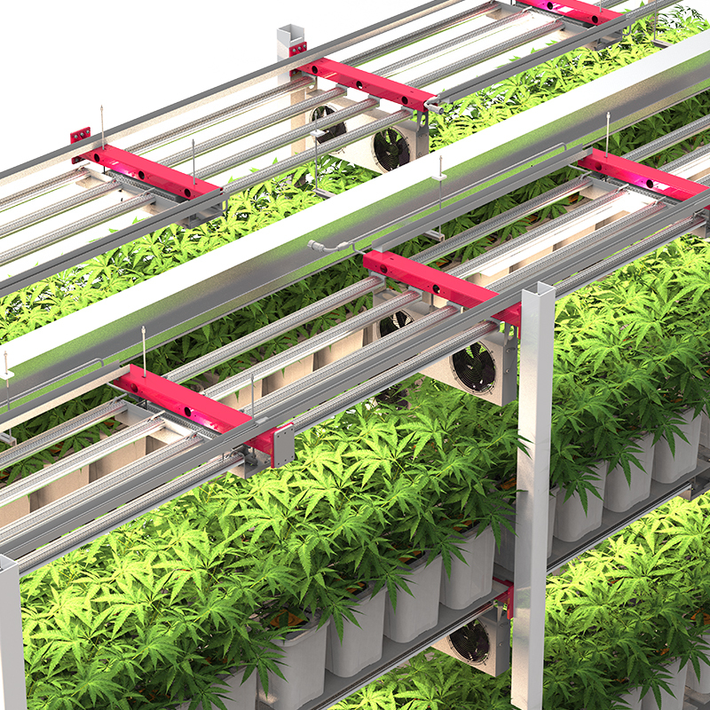 Supply 40’ft shipping container smart farm for cannabis farming