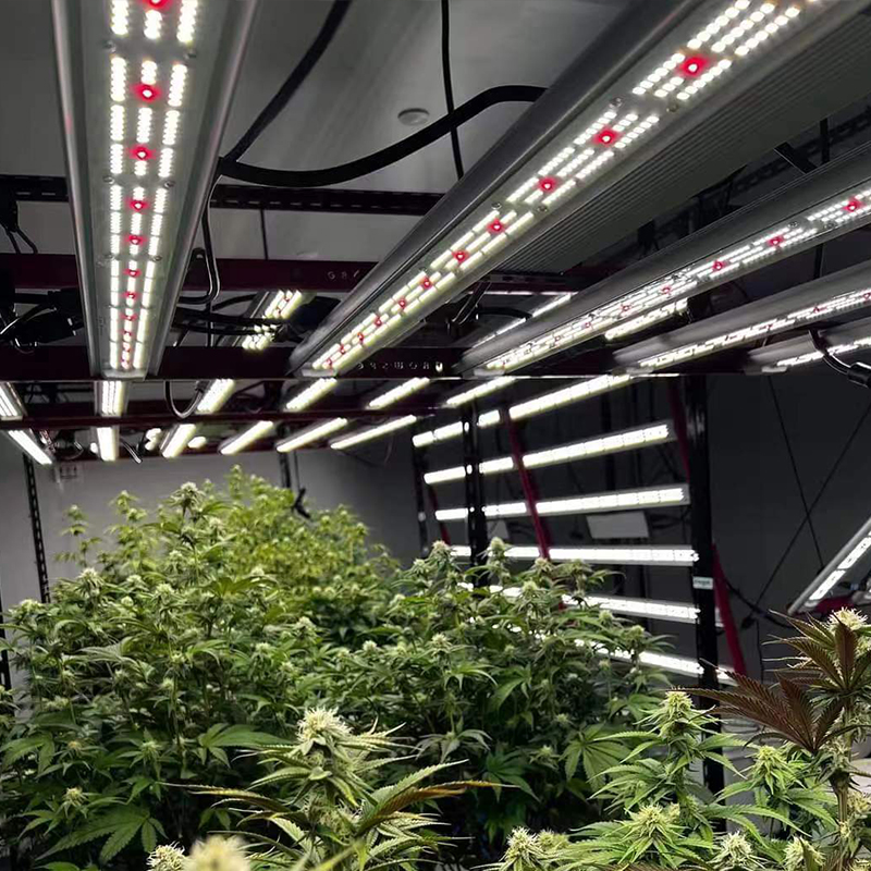Differences in Grow Lighting Types
