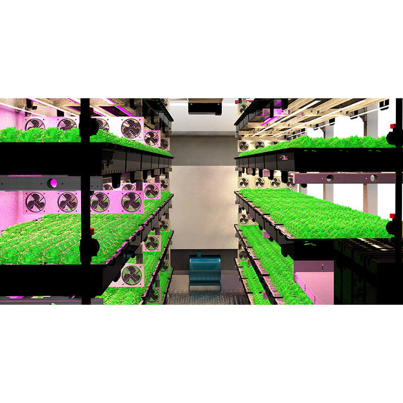 Supply Smart Container Farming Technology Hydroponic Indoor Farming System Wholesale Factory