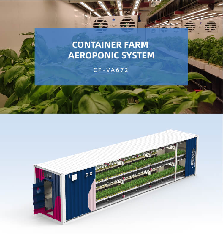 Aeroponic container farm