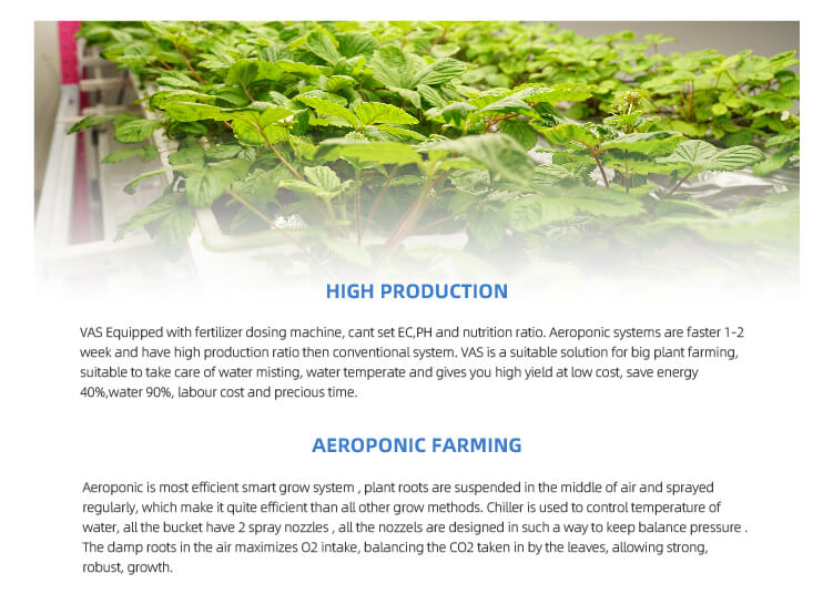 Aeroponic grow system