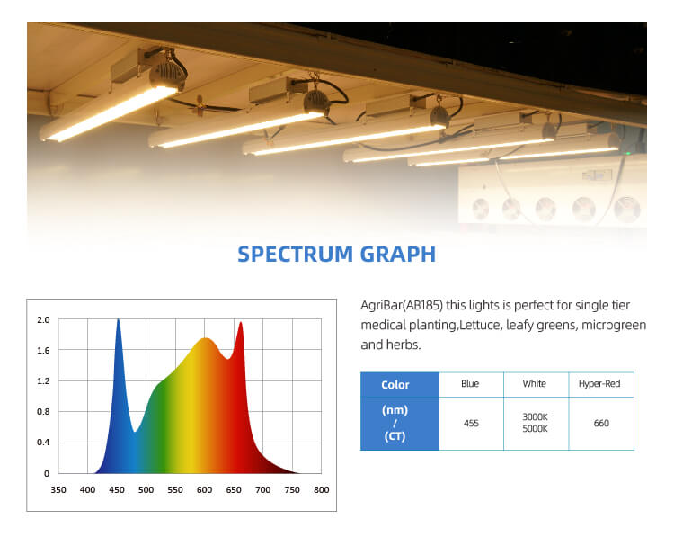 full spectrum grow lamp