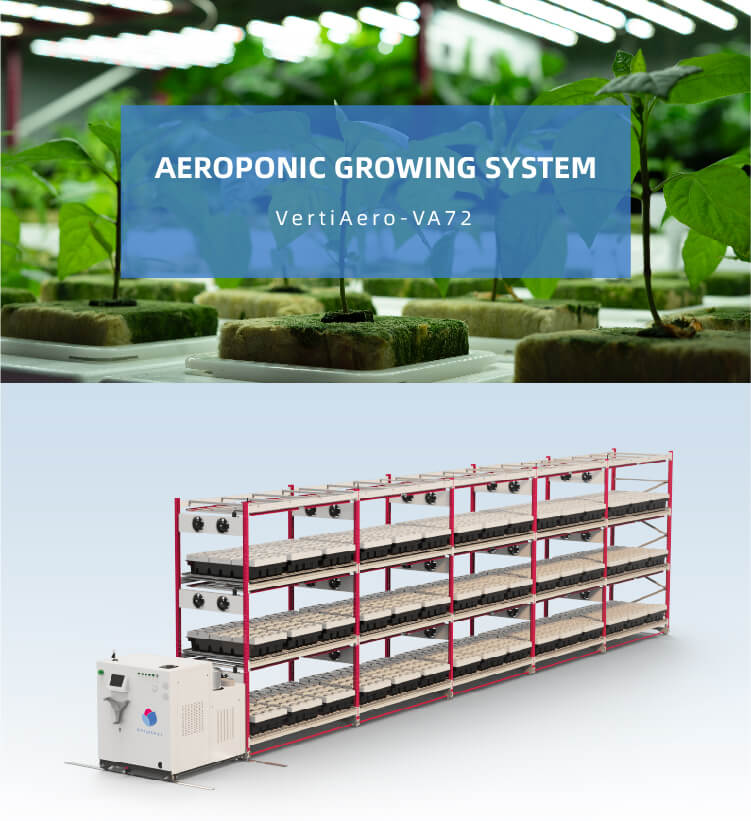 Aeroponic planting system