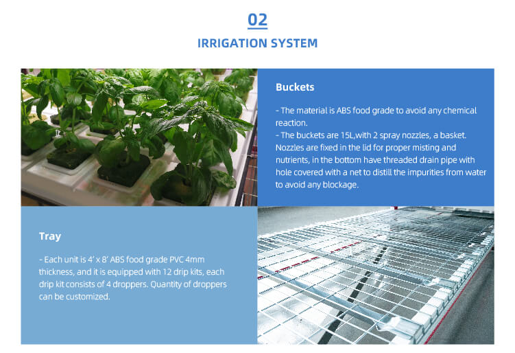 indoor vertical farming