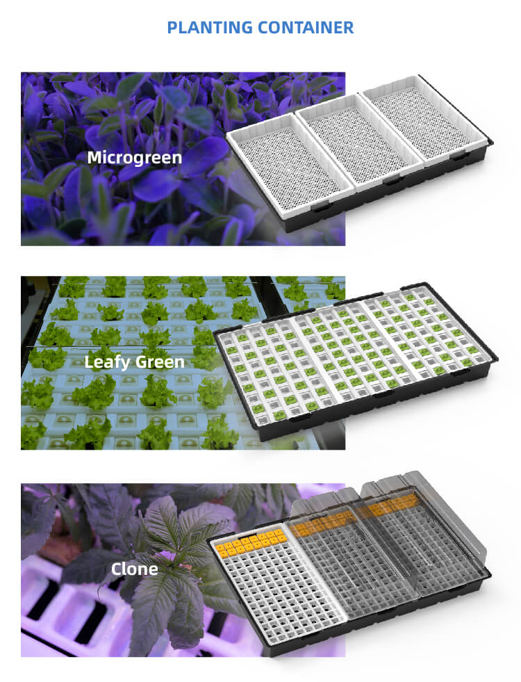 shipping container farm
