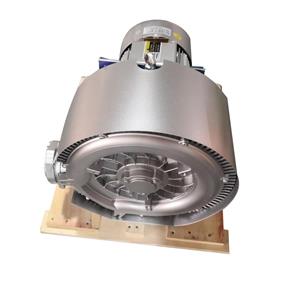 2LG520 Electric High Pressure Air Blower For Fish Pond