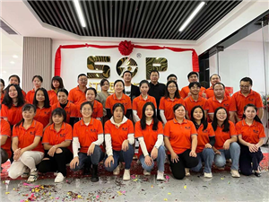 The introduction of SOP group company
