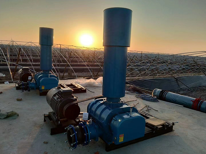 Anwendung von Roots Blower in der Abwasserbehandlung