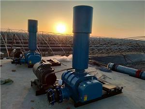 Application of Roots Blower in Sewage Treatment