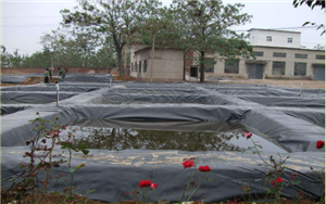 Geomembrane Characteristics and Laying