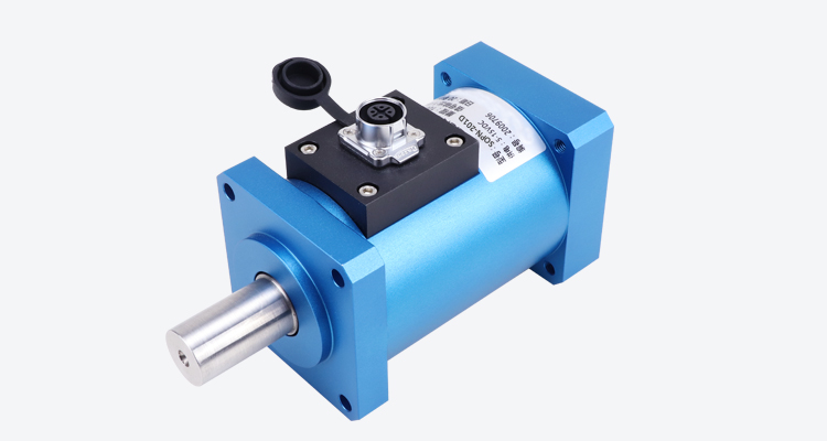 Dynamic torque sensor