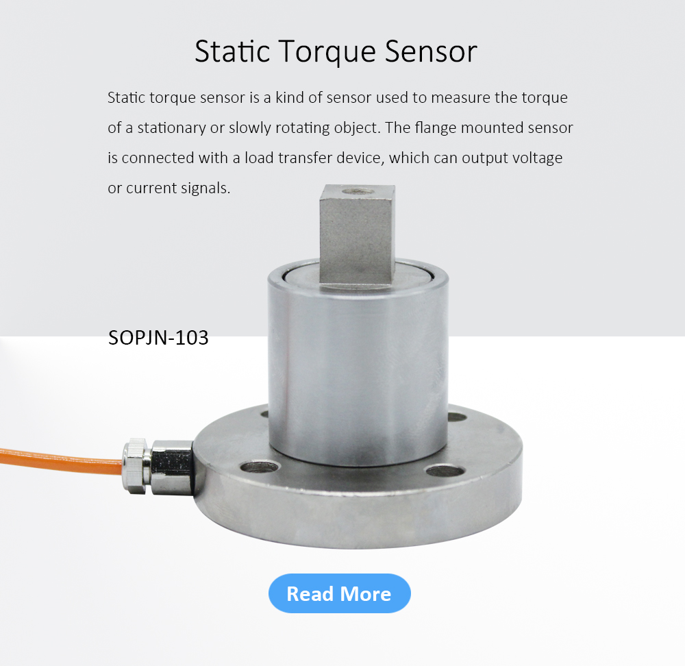 Static torque sensor