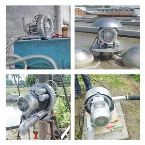 How to choose high-pressure blower for increasing oxygen in aquaculture