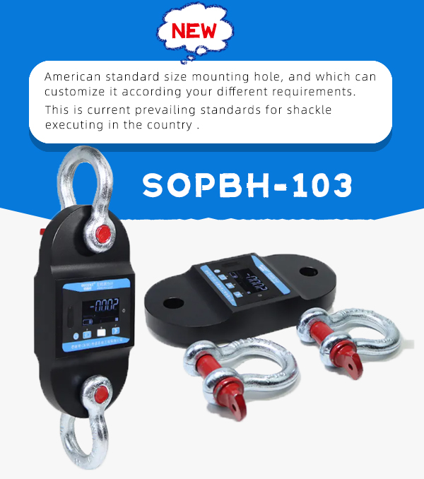Wireless dynamometer