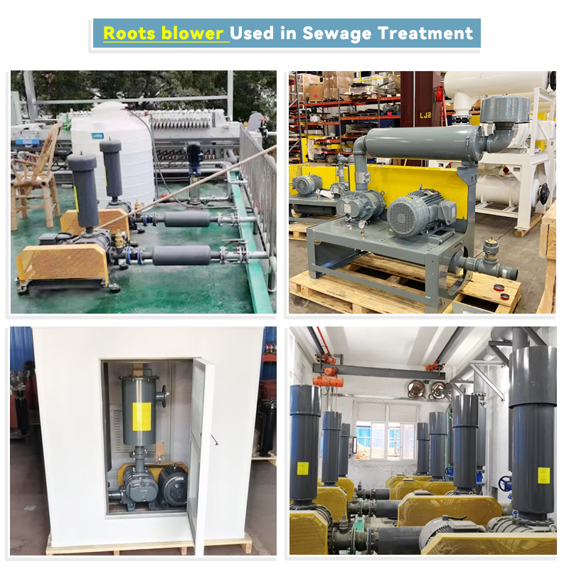 Ring Blowers Ring Blowers