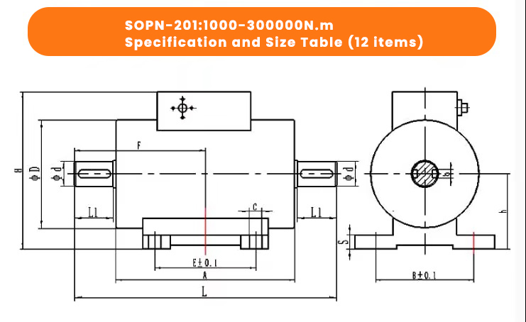Dynamic Torque Sensor Dynamic Torque Sensor