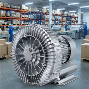 Regenerative Blower for Vacuum Packing Equipment