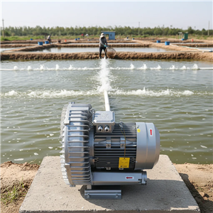 High Pressure Ring Blower for Aquaculture Pond Water Quality Regulation