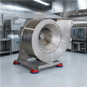 Centrifugal Blower Fan: The Ultimate Kitchen Smoke Exhaust Workhorse for Commercial Catering