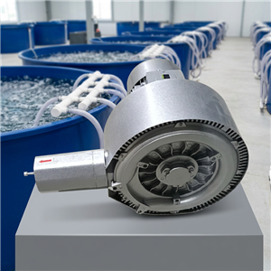 High pressure ring blower: the "oxygen supply core" of sewage treatment, which helps to purify and improve water quality