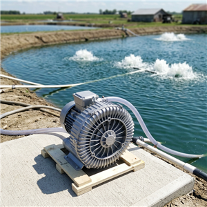 Efficient oxygen supply and green oxygenation: high-pressure blower helps modern aquaculture upgrade efficiently