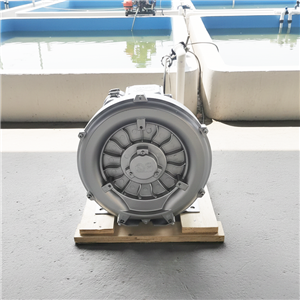 High-Pressure Blowers for Wastewater Treatment
