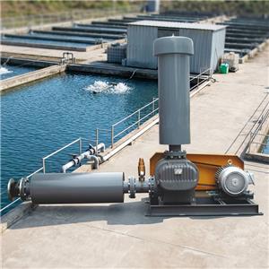 Roots blower: the reliable power core of sewage treatment aeration system