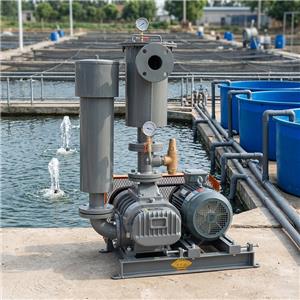 Application of Roots Blower in Aeration System of Activated Sludge Tank