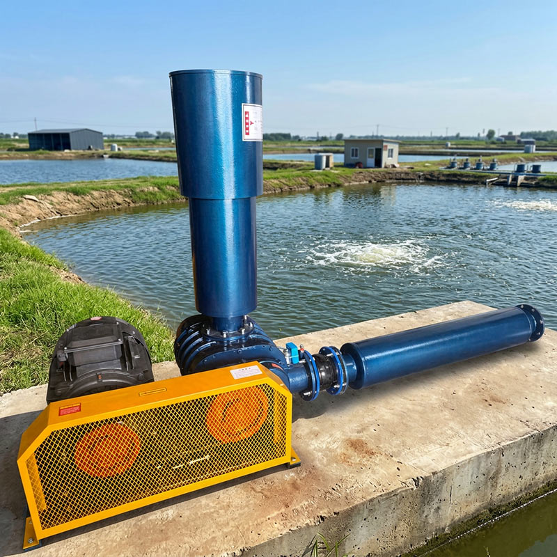 Precautions for using Roots blower