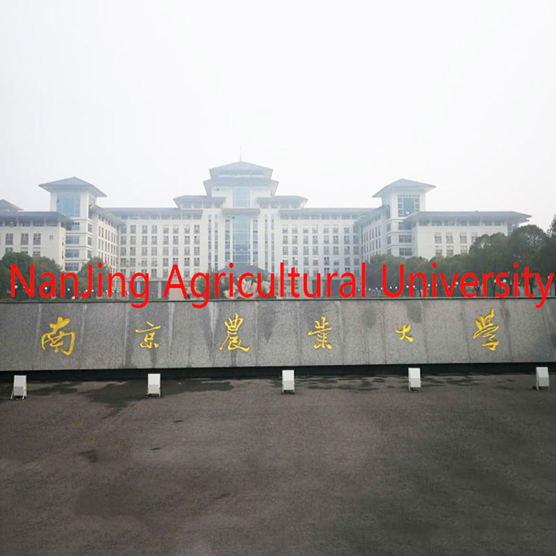 Proyecto de iluminación de la Universidad Agrícola de NanJing