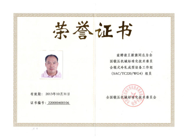 Team Member of National  Technical Committee