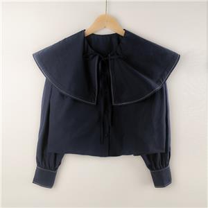 big collar blouse