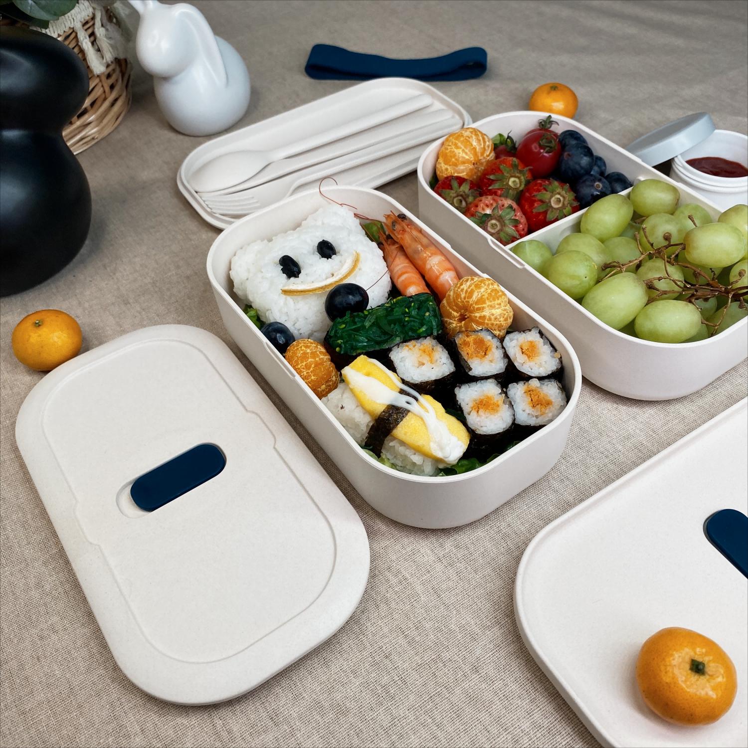 lunch box with compartments