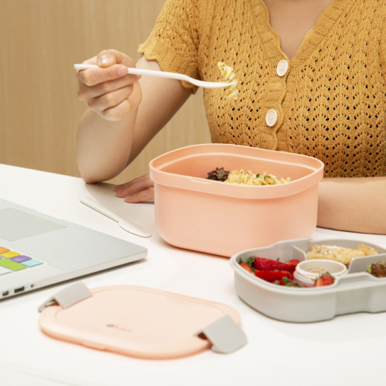 Ценность ланч-бокса для бенто неоспорима.