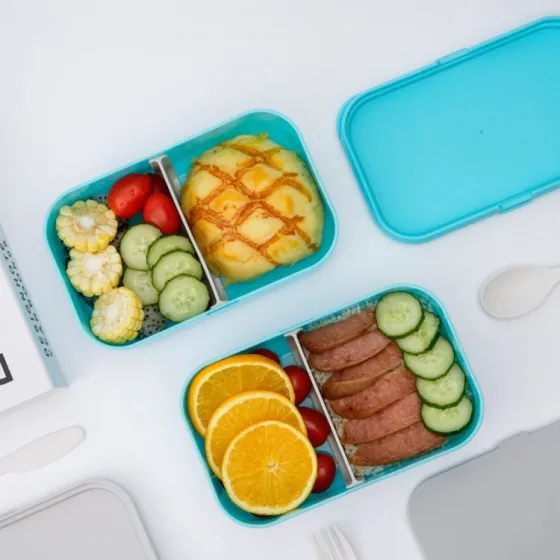 Kan ik een bentobox voor andere gerechten gebruiken?