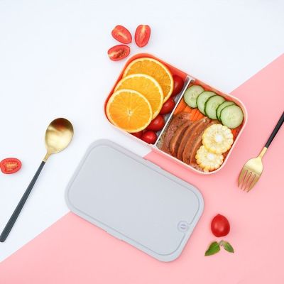 Transporter une boîte à bento lors des sorties estivales peut apporter de nombreux avantages et commodités
