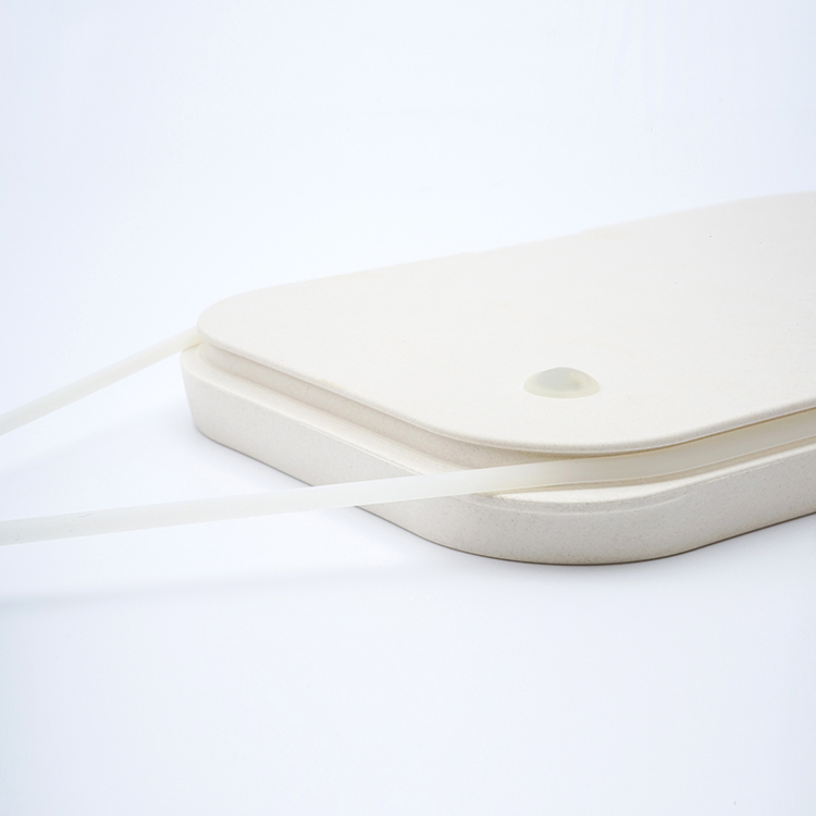 BOX Bento Boxes: Eco-Friendly, Stylish & Functional Meal Solutions with Modular Design