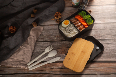 Projeto de Bento Box Sustentável