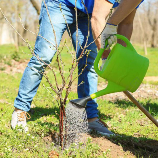 Skydda miljön, Arbor Day-aktiviteter